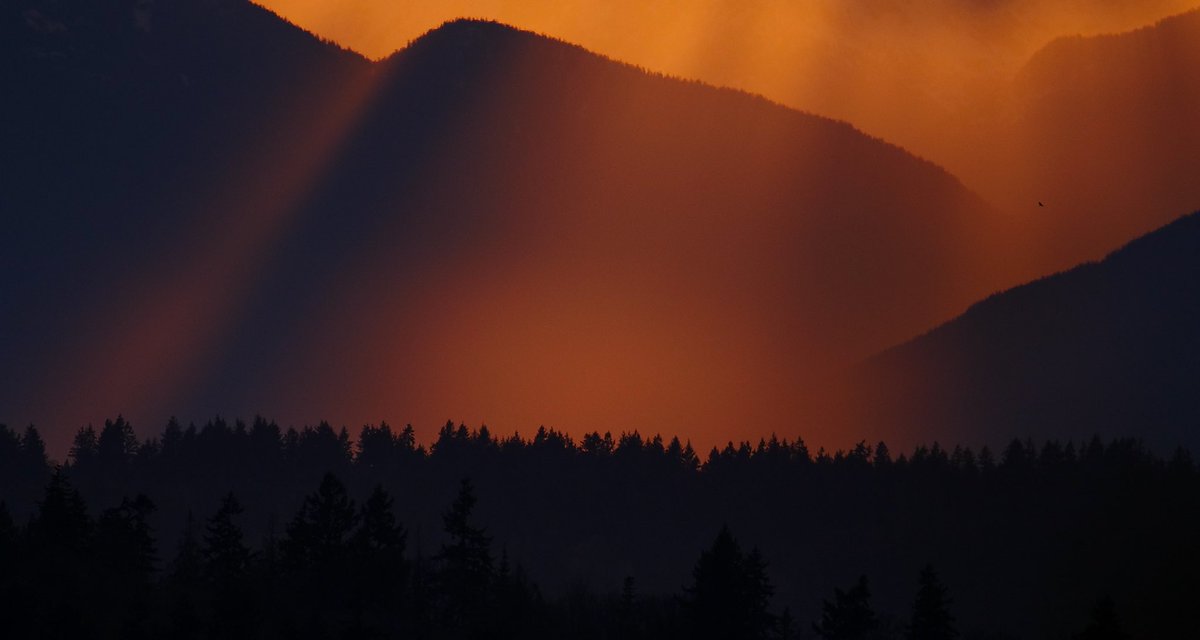 Mike Griffith tweet media