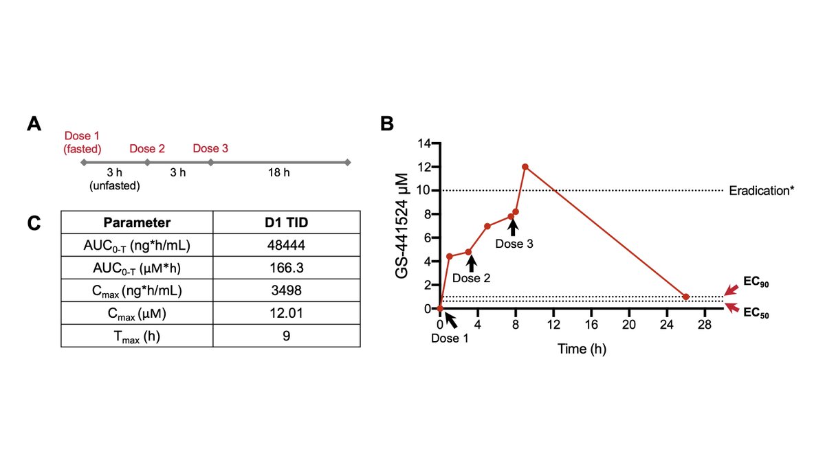 Part 2 of the study: 750 mg GS-441524 was orally administered as a solution TID, every 3 h, for 3 days. PK for D1 shown below. Cmax ~12 uM achieved 3 hours after the third dose, which surpasses that which is necessary to eradicate SARS-CoV-2 in vitro. AUC = 166 uM. 4/7