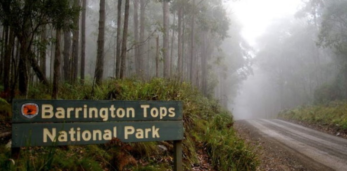 LFaughlin's tweet image. Our immediate thought is global not local when looking at issues! We need to ensure our students know what their actions are impacting, both positive and negative in our local environment! With Barrington Tops NP so close, how could we link this to any of the SDG's?

#UoNTeach