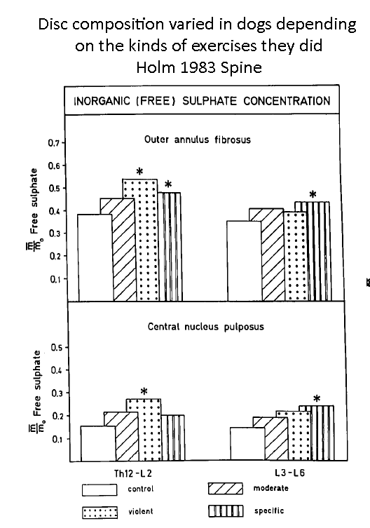 But what about actual exercise training?Animal studies showed that exercise can ‘overload’ the IVD e.g.  https://doi.org/10.1002/jor.1100110516 However, one study in dogs showed that long-term exercise can improve IVD nutrition.  https://doi.org/10.1097/00007632-198311000-00009
