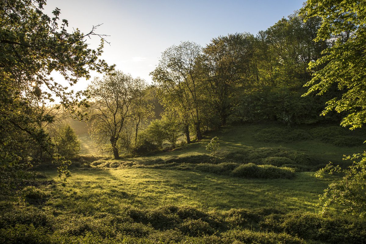 ❓Que faire pendant les vacances de printemps en Vendée Vallée ? 
Retrouvez dans cet article des idées balades en plein air, des activités à faire avec les enfants !
#vendeevallee #bocagevendeen #vacancesconfinees #a10km 
👉vendeevallee.fr/les-vacances-d…