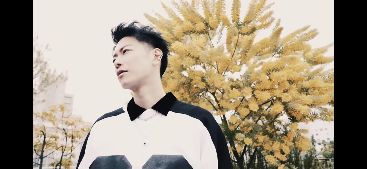 もしかしてミモザでちゅか、、w