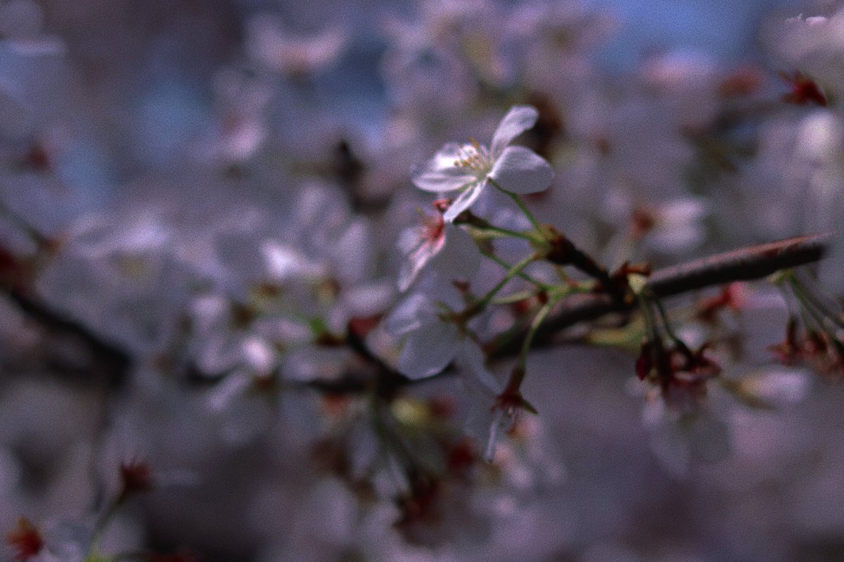 do6foo2's tweet image. 