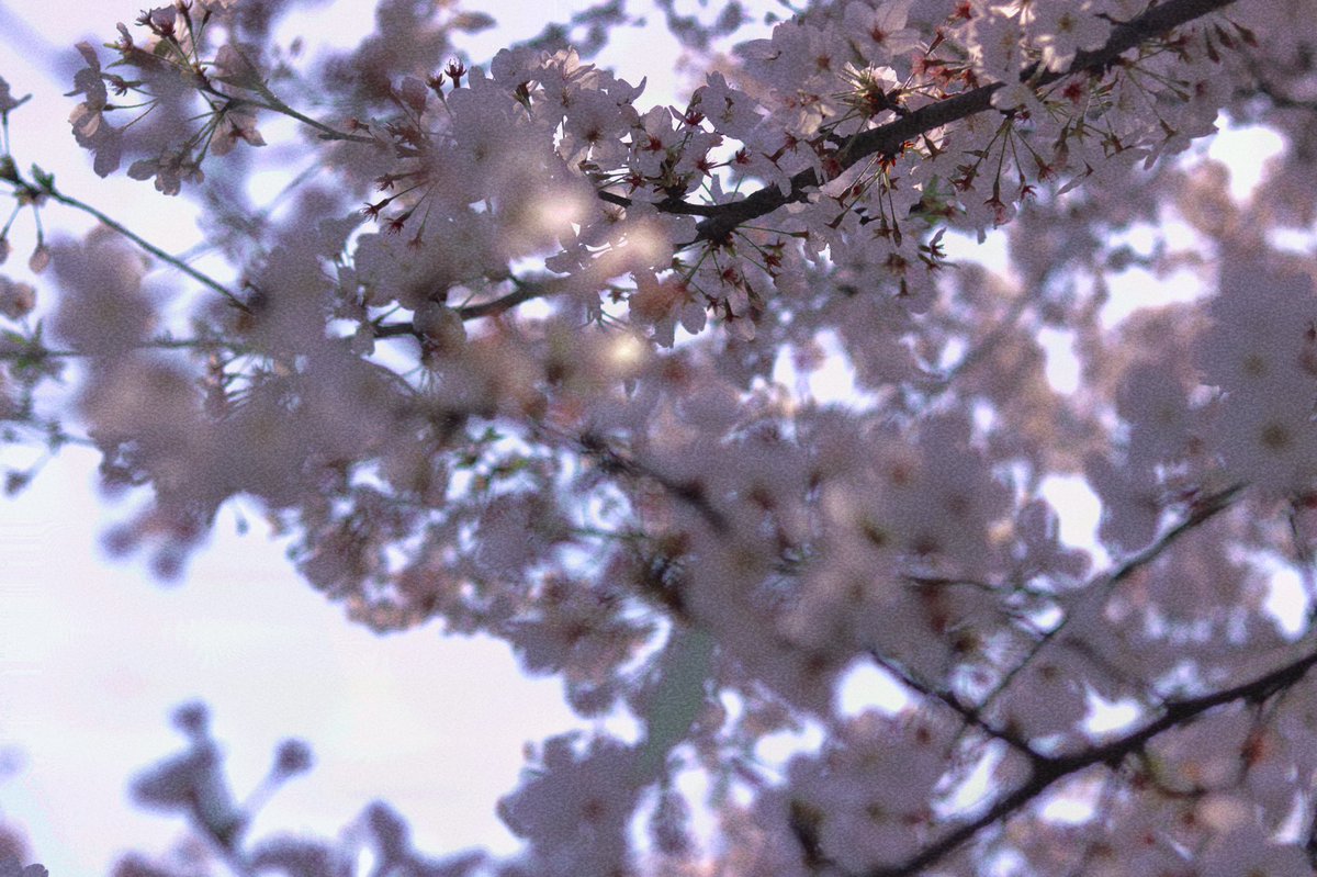 do6foo2's tweet image. 