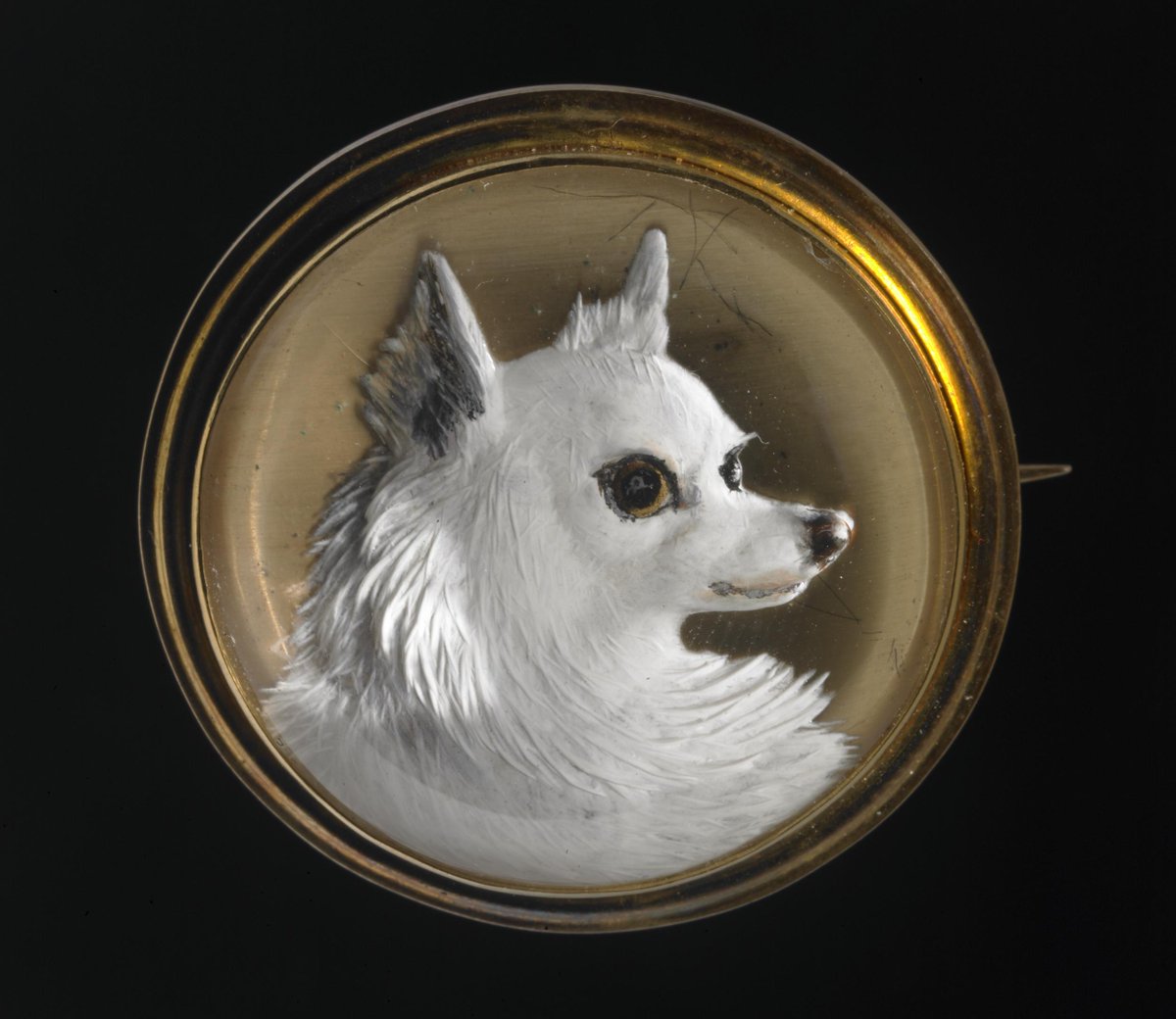 Day nine of  #NationalPetMonth. A Victorian mourning brooch for a little Spitz dog, with a lock of white dog fur in the back, with the inscription "FAITHFUL & TRUE/ MUFF Obit. Nov. 24th 1862 at Dinapore. Aged 8 Years & 6 Months" (British Museum no. 1978,1002.201)