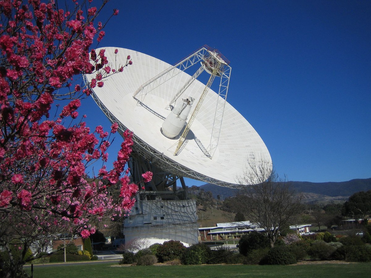 NSFVoyager2 (@nsfvoyager2) on Twitter photo DSN antenna DSS-43 at <a href="/CanberraDSN/">CanberraDSN 📡</a> is starting a 240 min listen to hear the echo of a command tone sent up to me 35 hours ago. This will define the "Best Lock Frequency" to listen or transmit on in order to correct for my damaged tracking loop capacitor ow.ly/JrTN30mo79u DSN antenna DSS-43 at <a href="/CanberraDSN/">CanberraDSN 📡</a> is starting a 240 min listen to hear the echo of a command tone sent up to me 35 hours ago. This will define the "Best Lock Frequency" to listen or transmit on in order to correct for my damaged tracking loop capacitor ow.ly/JrTN30mo79u