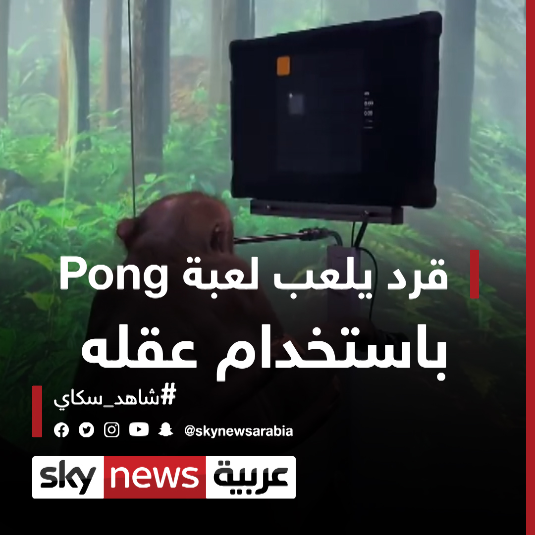 إيلون ماسك ينشر فيديو لقرد يلعب الـ Pong باستخدام عقله عبر شريحة! شاهد سكاي