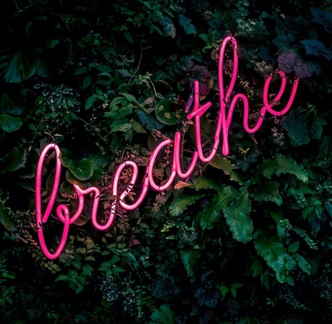 nicknightforevr's tweet photo. Have nice weekend ❤️🤟
Unterschreibt unsere Petition. Link findet ihr in der Bio (: und bitte schön teilen.
#nicknight #breathe #weekend #nice #becool https://t.co/oc1qLtGMTy