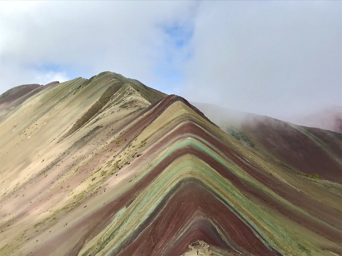 Markus Antonietti tweet media