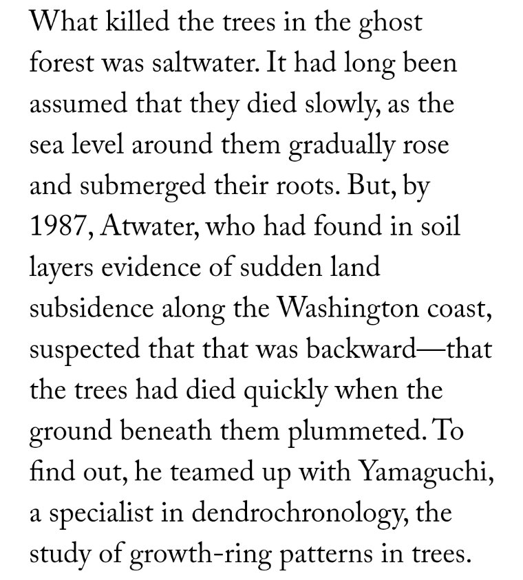 the archaeology of ancient sea-devoured evidence is fascinating stuffalso FYI if your not aware the Pacific Northwest is probably going to be destroyed in the next couple hundred yearscould go off anytime too https://www.newyorker.com/magazine/2015/07/20/the-really-big-one