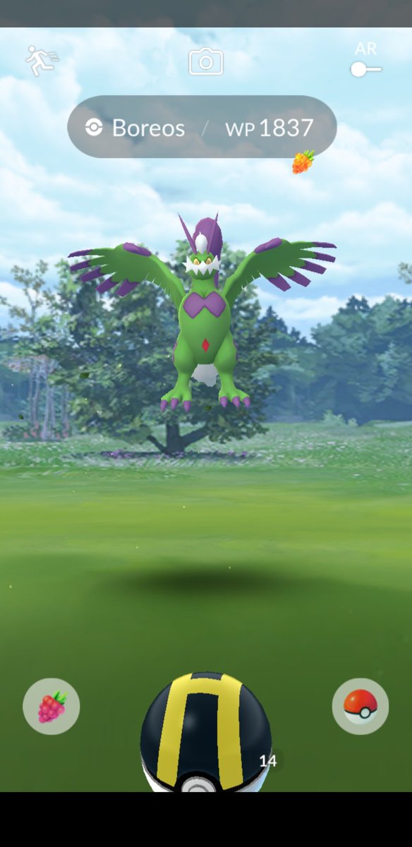 Sterniskin69 TL40x13 tweet media