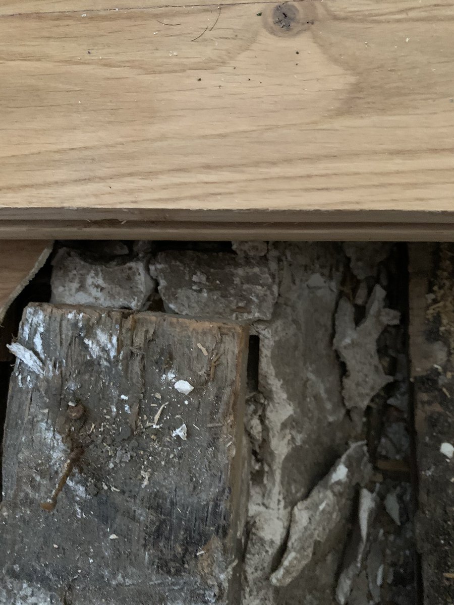 BillieNona's tweet image. 