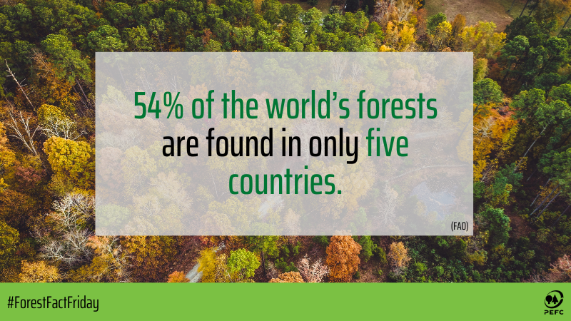 PEFC's tweet photo. Forests cover 31% of the global land area. But they are not equally distributed around the globe.
More than half of the world’s forest is in only five countries – Russia, Brazil, Canada, the US and China. #ForestFactFriday https://t.co/uYnCOpSNkC