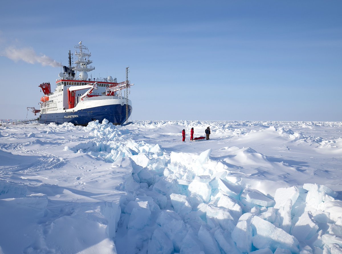 thembauk's tweet photo. The #ChangingArctic special issue of #TheMarineBiologist is now live, and #OA! Read to discover how researchers in the UK, Russia, and internationally are collaborating to investigate changes in the Arctic - the fastest warming region on Earth. โ๏ธ๐ฅ
๐ https://t.co/akYmxcTLxO https://t.co/LE0Vs326Gu