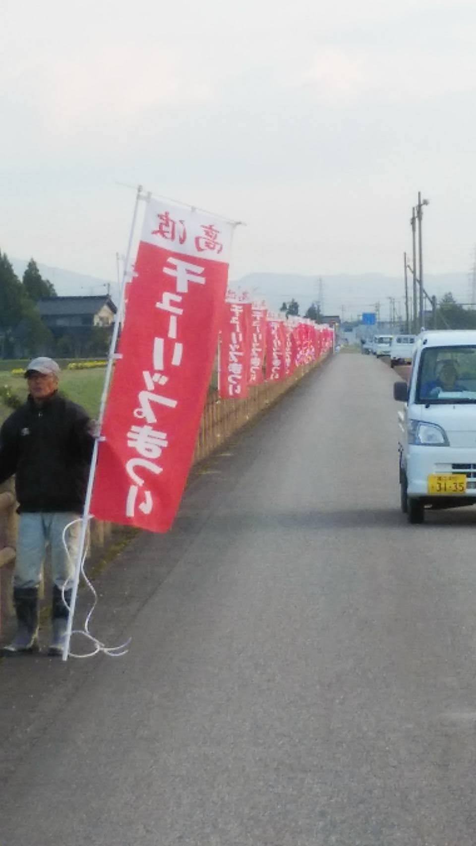 砺波市 来週末18日の高波チューリップまつりを前に 今朝のぼり旗の設置等の準備が行われました 観光圃場のチューリップは まつり当日満開の見込みです 砺波市 花のまちとなみ 旗裏面の写真でごめんね T Co Ityib9za2t Twitter