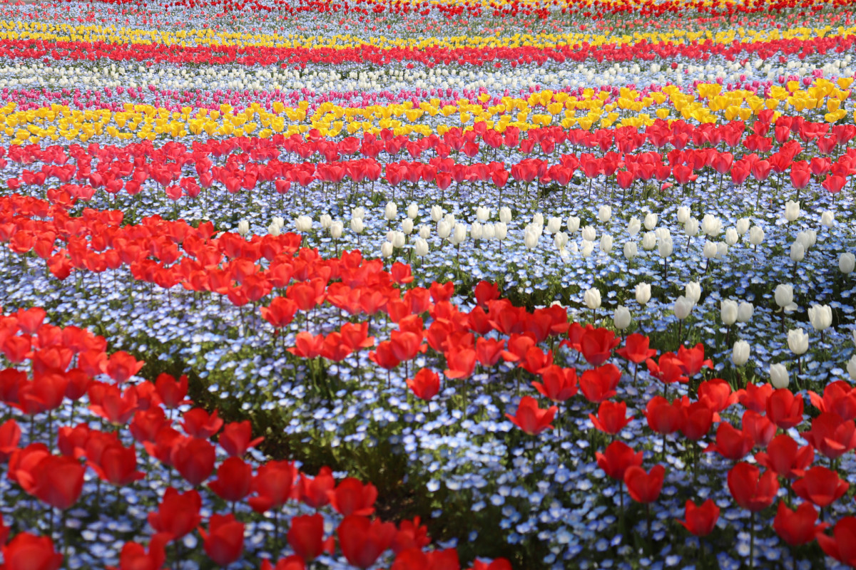 おかやまハレ旅 岡山県観光連盟 Okayama Bq Twitter