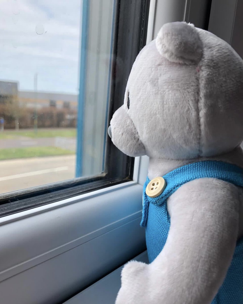 “Hopefully this is the last Friday I’ll be staring out this window and dreaming of being at the pub with the boys, don’t let me down Boris” - Arty 🐾