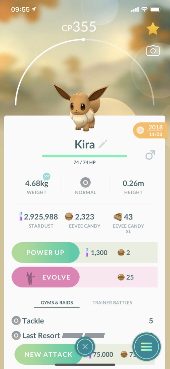 Joe Merrick S Tweet Now This Is Interesting Seems The Mechanism To Get Sylveon Is Live In Pokemon Go Though It Currently Will Error Out It Seems Kira Is The Name To Joe Merrick S Tweet Now This Is Interesting Seems The Mechanism To Get Sylveon Is Live In Pokemon Go Though It Currently Will Error Out It Seems Kira Is The Name To