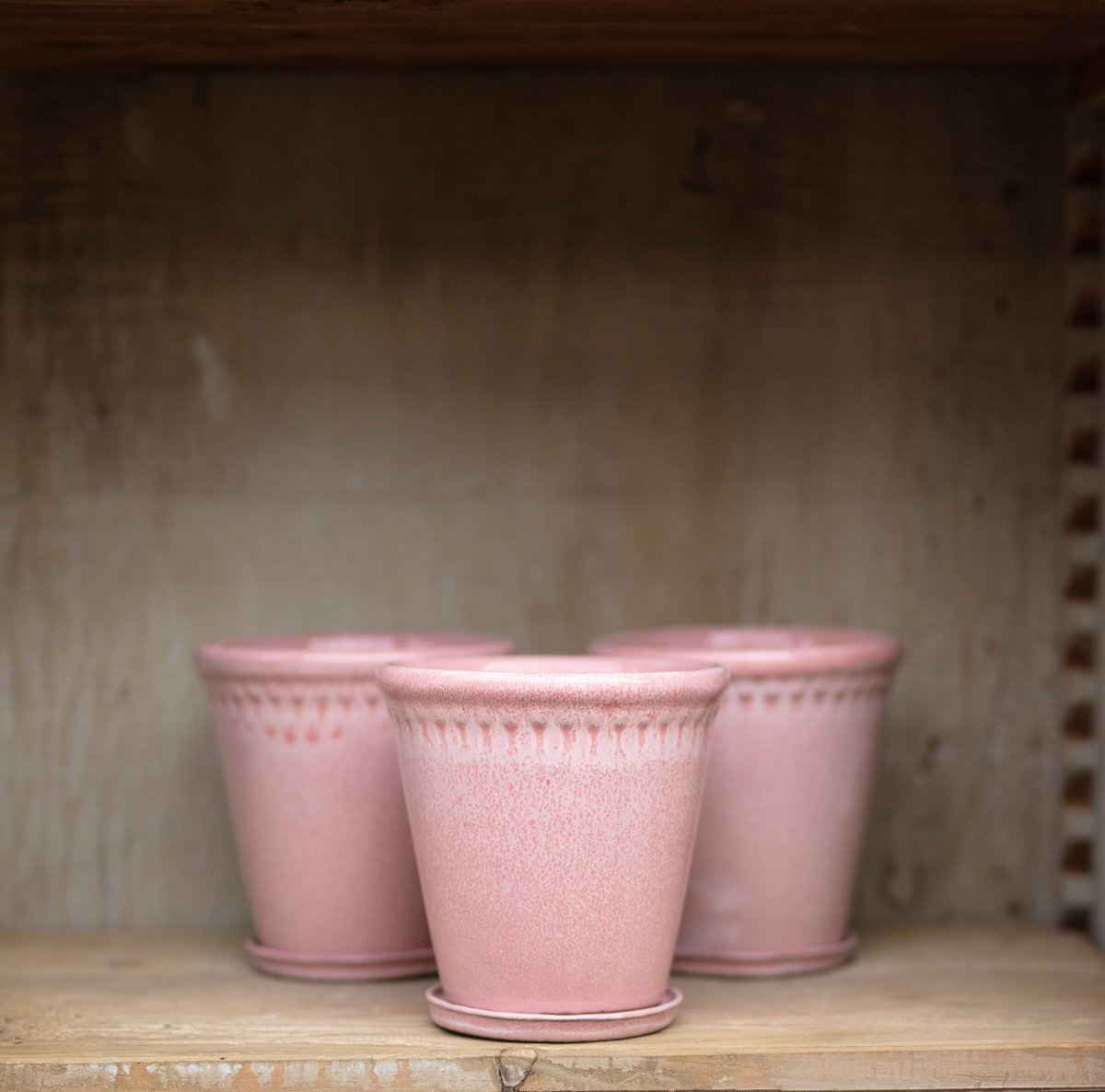 Add a touch of chic to your spring planting with these Lace Pink Pots. We have them available in both small and medium sizes, perfect for summer gardening and bringing some pastel tones to your greenhouse. Visit our online shop to find out more!