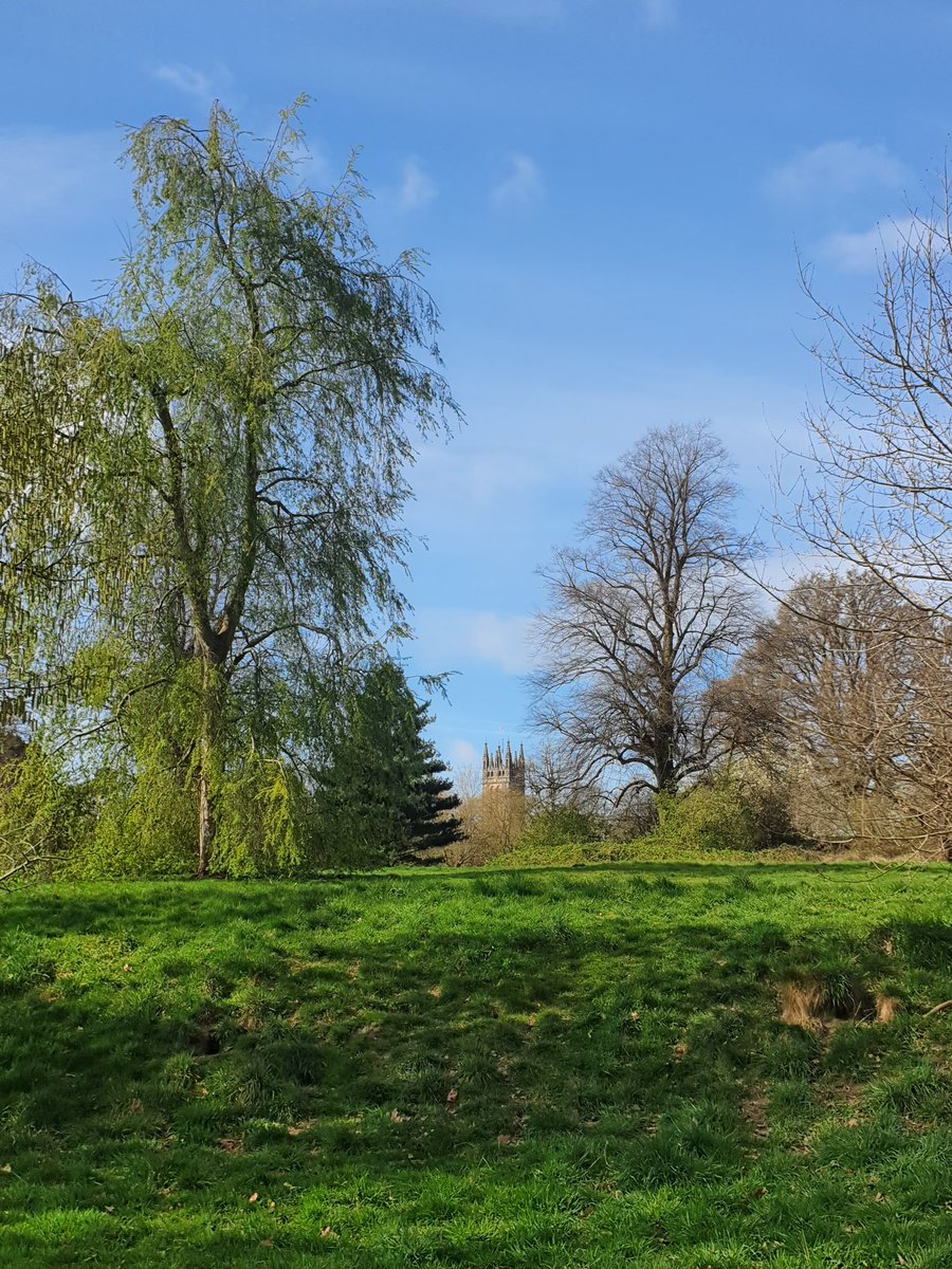WarwickWitter's tweet photo. Warwick = Beautiful https://t.co/XZR6vFgj6I