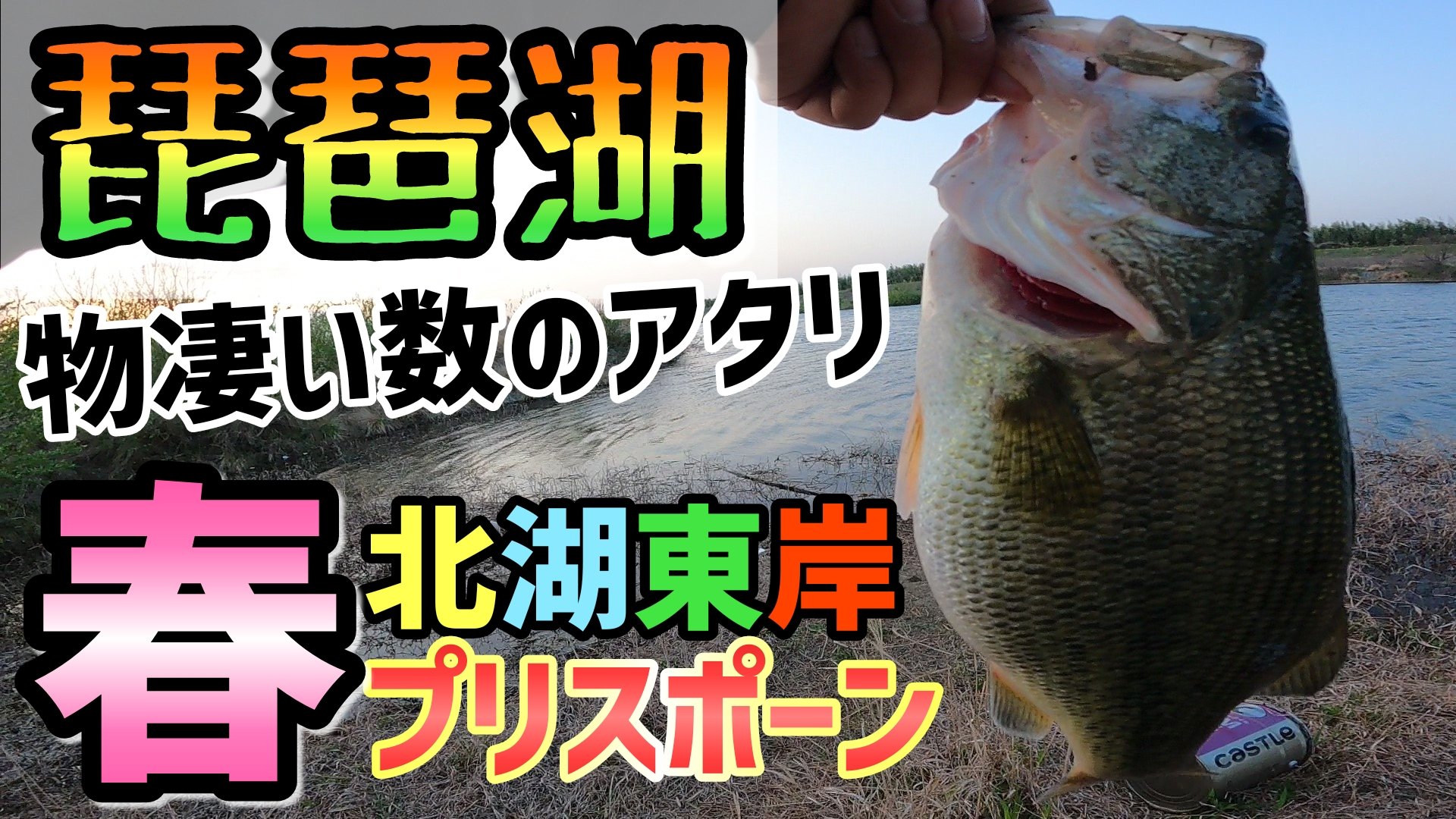 キャベツch 今回はめちゃくちゃアタリが来ます 魚も釣れますがキャベツは警察に職務質問されます T Co Y8uvyfr38y 琵琶湖バス釣り バス釣り 釣り 琵琶湖釣り 琵琶湖オカッパリ 琵琶湖おかっぱり おかっぱり ブラックバス ダウズビドー