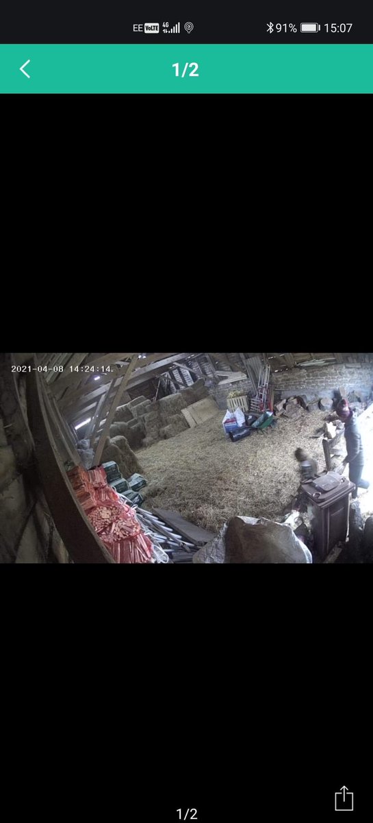 Help needed Twitter ! This adult entered our barn yesterday without permission they tilted the entrance camera and knocked it off obviously haven’t got the sense there are more only pics we have long shot but maybe the little girl or the adult is recognised ! #help #wrong #CCTV