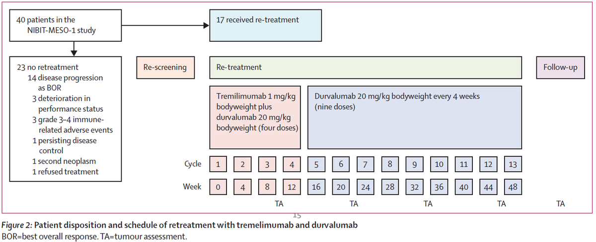 copd diagnosis spirometry