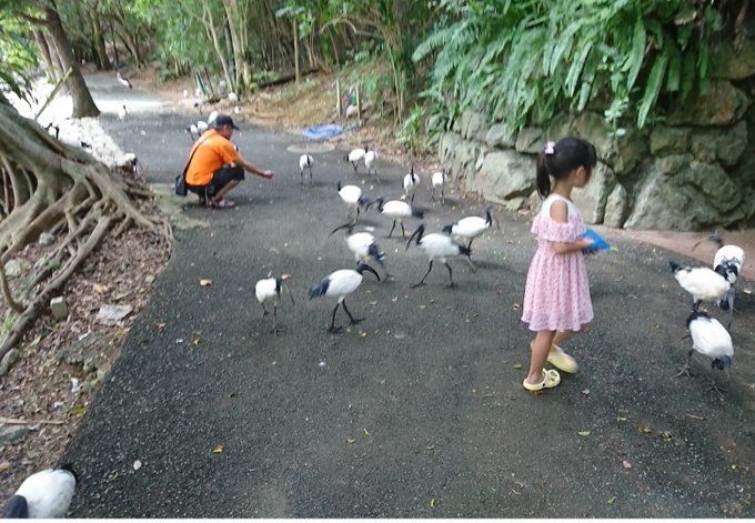 花音(かのん)のTwitter画像15