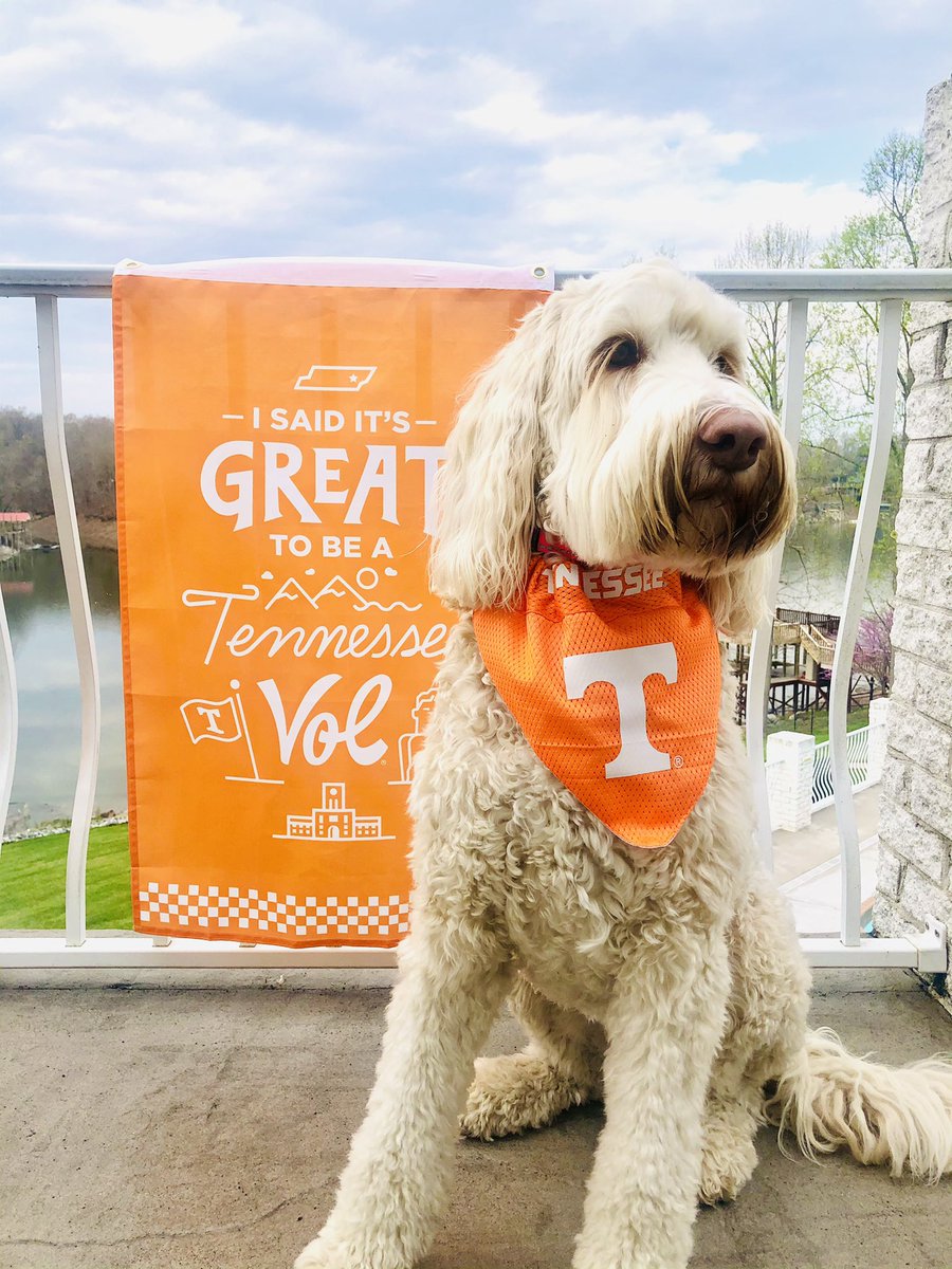 It is great to be a Tennessee Vol because @UTSmokey_00 is the best mascot (and he is very cute!) Welcome to the Volunteer Family, #newvols.  @UT_Admissions @tennalum #newvolday