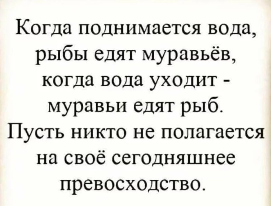 когда поднимается вода рыбы едят муравьев. когда поднимается вода рыбы едят муравьев когда. муравьи едят рыб когда вода. когда поднимается вода рыбы едят муравей. когда поднимается вода рыбы едят.