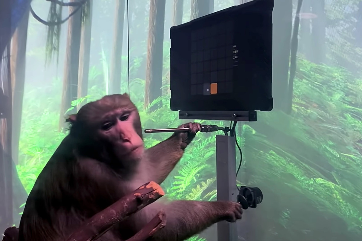 Elon Musk's Neuralink shares video of monkey playing 'mind Pong'