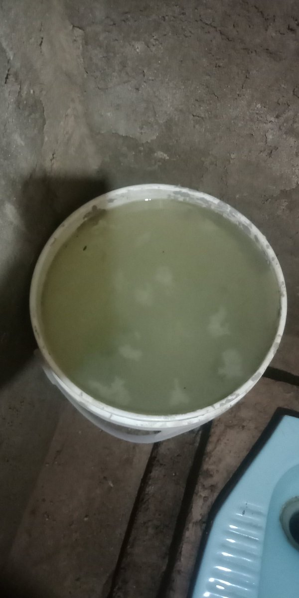 2hyuniest's tweet photo. TWITTER PLEASE DO YOUR MAGIC.

Siapapun orang baik yang mau berikan aku pekerjaan, please kasih aku pekerjaan apapun.
Aku baru aja diusir dari rumah lama krn rumah aku dijual sama ayahku yg nikah lagi. Dan aku tinggal dirumah yg seadanya dengan keadaan air yg begini. https://t.co/SOMqbBOlaP