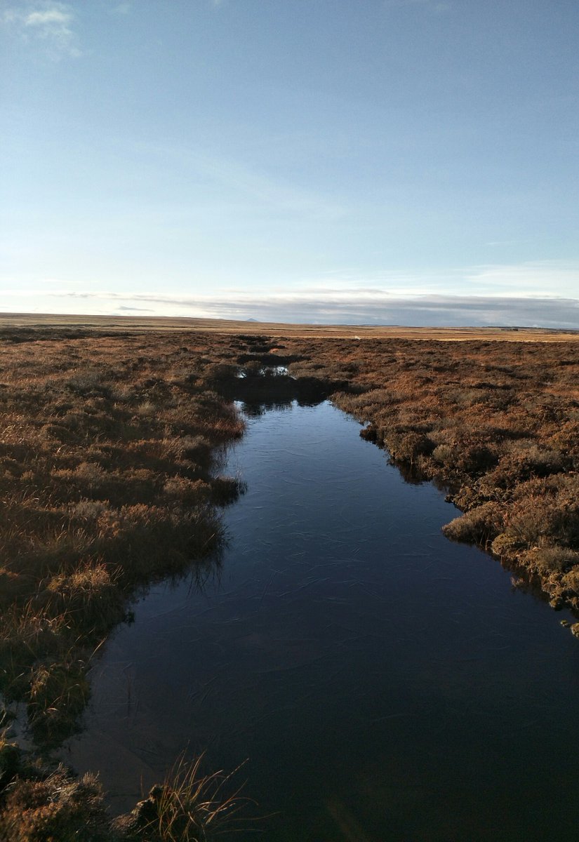 Forest-to-bog #peatland restoration and water quality. New paper from @ERI_UHI @rspbscience 
@Flowsresearch #ERIresearch #UHIresearch #FlowCountry
link.springer.com/article/10.100…