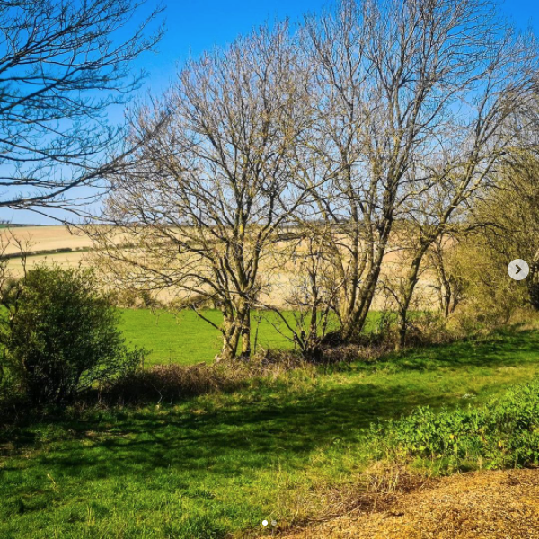 Artemis_BC's tweet photo. How could you use these trees to aid navigation?
Trees need the sun to survive - they strive towards the light. As a result you will often see heavier growth on the southern side due to the sun moving across the southern part of the sky
#bushcraft #naturalnavigation #Nature https://t.co/SnEhZm4HK7