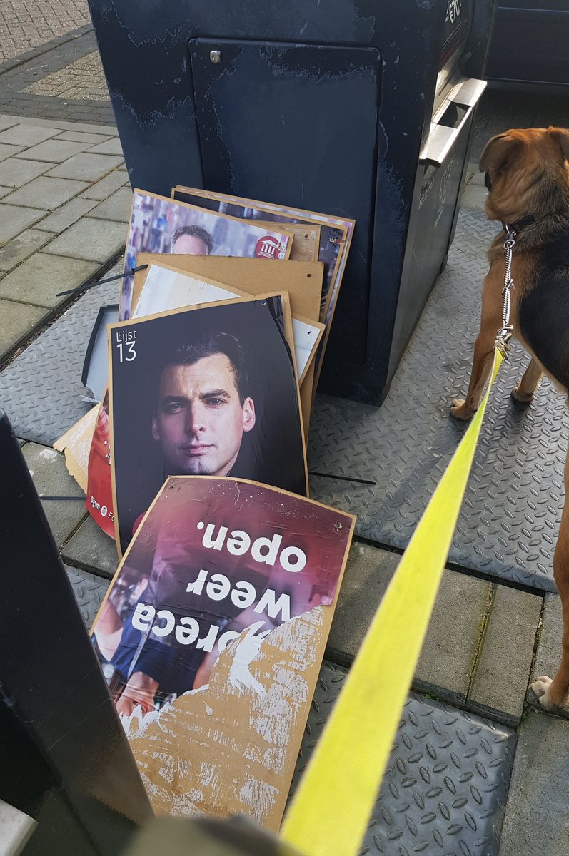 Maarten tweet media