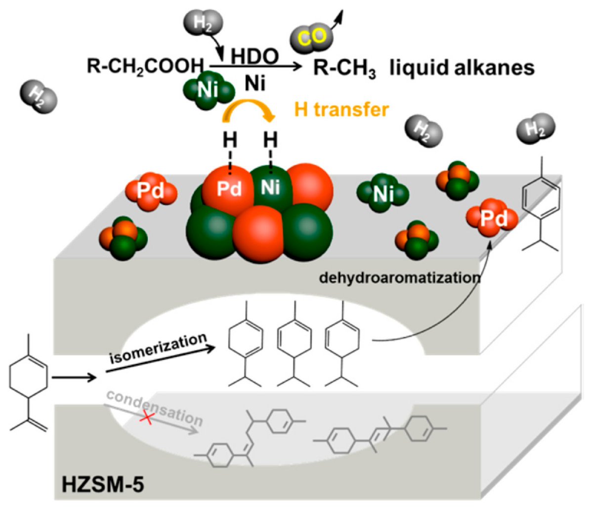 Catalysts_MDPI's tweet photo. #FeaturePaper
The Limonene #Biorefinery: From #Extractive Technologies to Its #Catalytic #Upgrading into p-Cymene
📝by Antonella Satira et al.
👉https://t.co/wUZq19N6AZ
#green #biomass #value_added
essential oil; citrus processing waste https://t.co/EucEjmryxd