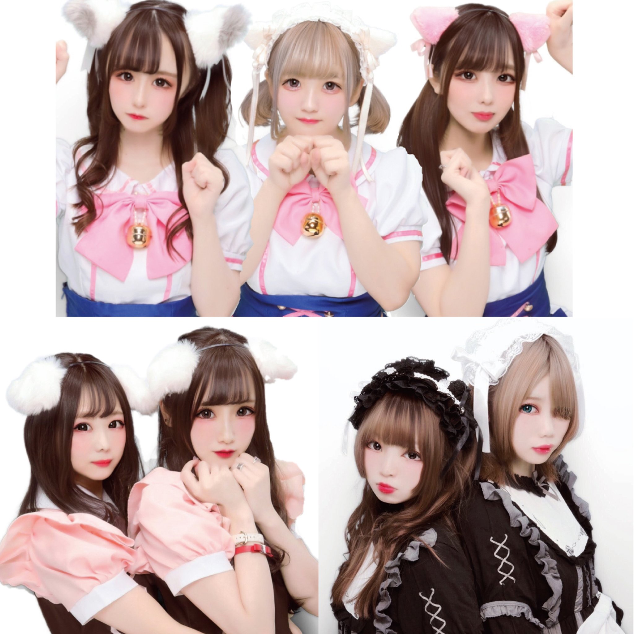 ぽんにゃん mofusand ふんばるず(サメにゃん) | mofusandもふもふマーケット