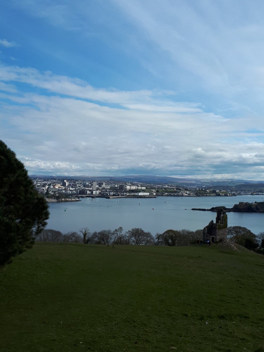 MNicholas tweet media