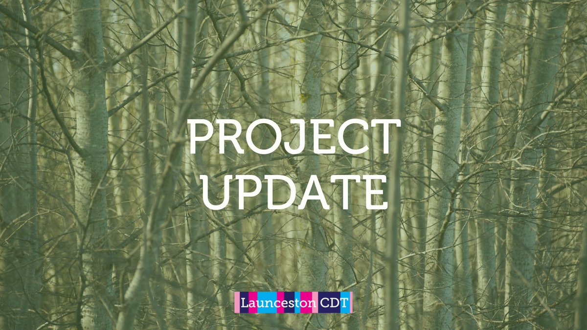 Launceston Community Development Trust tweet media