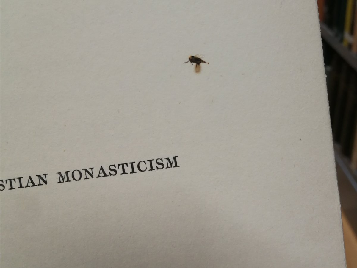 Please do not use our books to swat bugs. You would not believe how many squashed bugs we find in them. We beg of you.