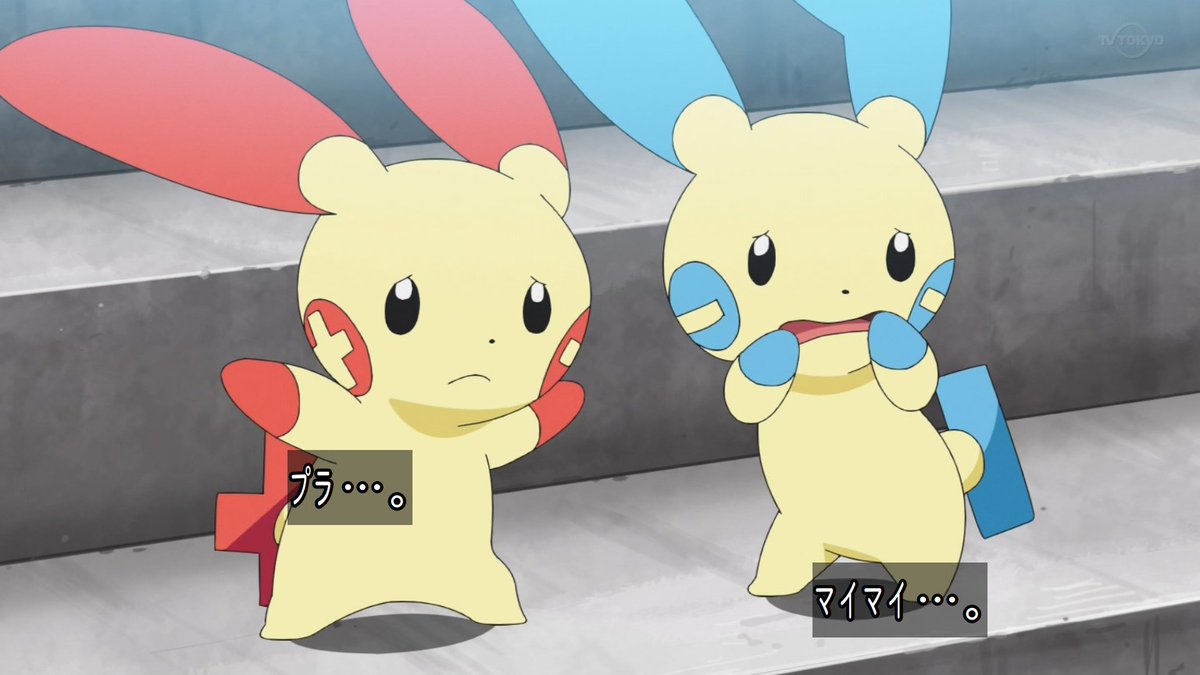 アニメ ポケットモンスターで マイナン が話題に 9ページ目 トレンドアットtv