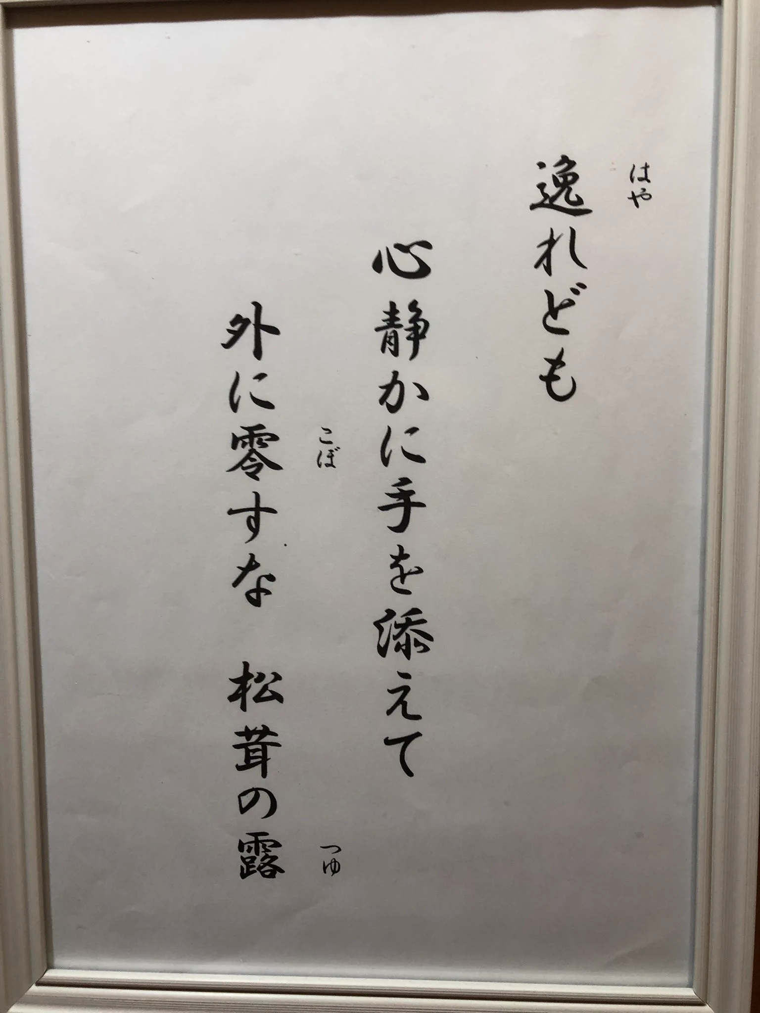 @teamfuwafuwa これは許す 