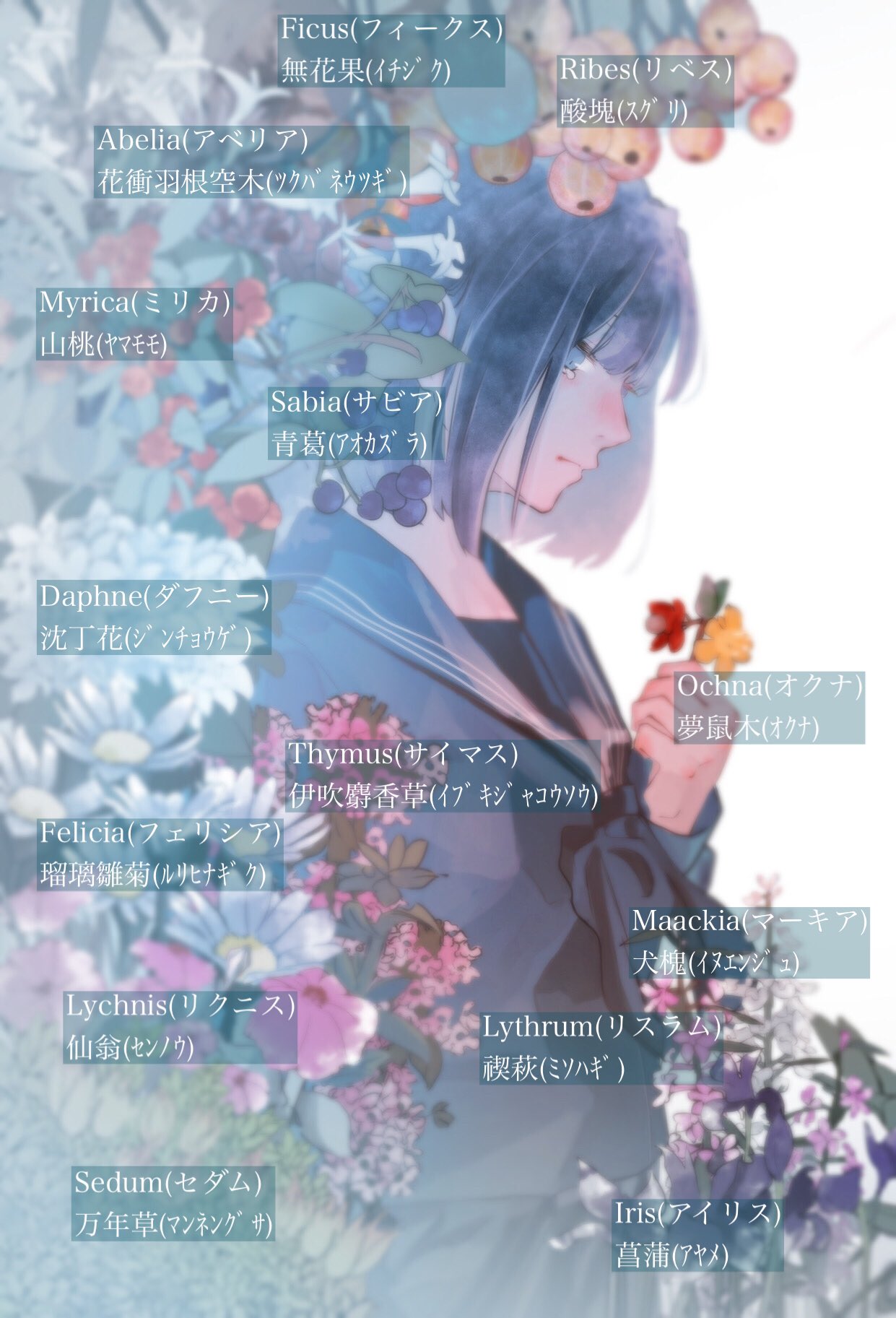 تويتر 瀬來 على تويتر それぞれの花です T Co Njipkzihwe