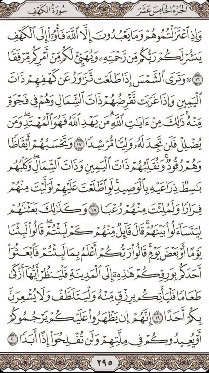 TU HANODY 🐦‍🔥| #هنودي_4مليون tweet media