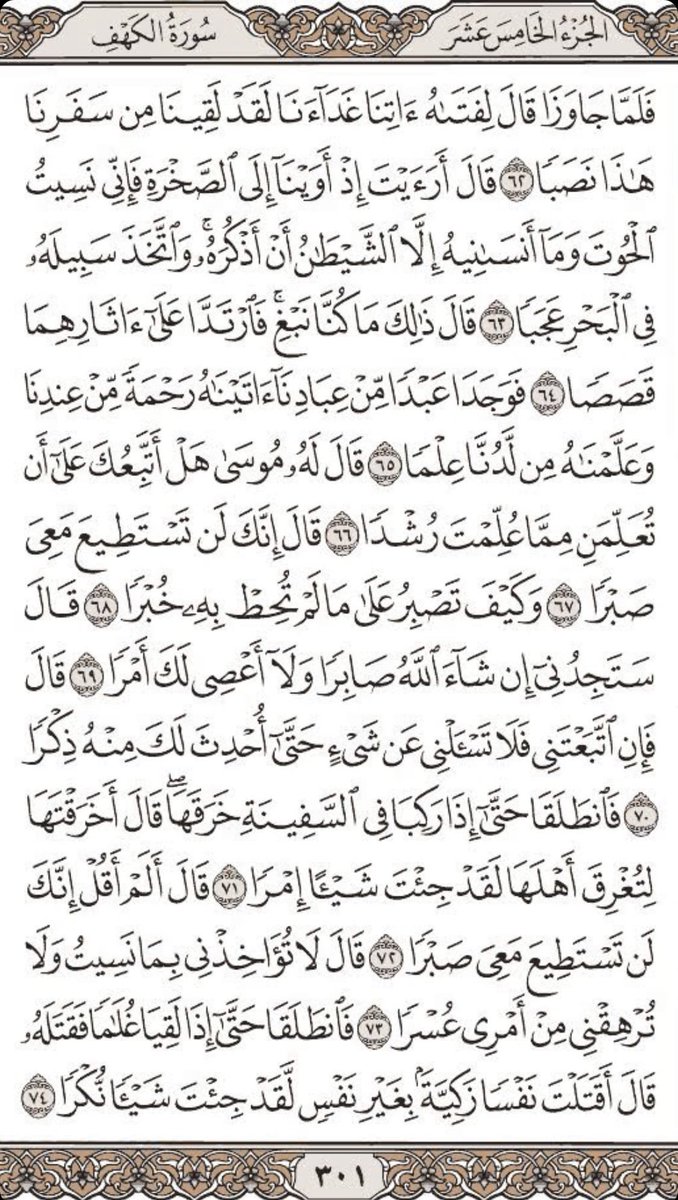TU HANODY 🐦‍🔥| #هنودي_4مليون tweet media