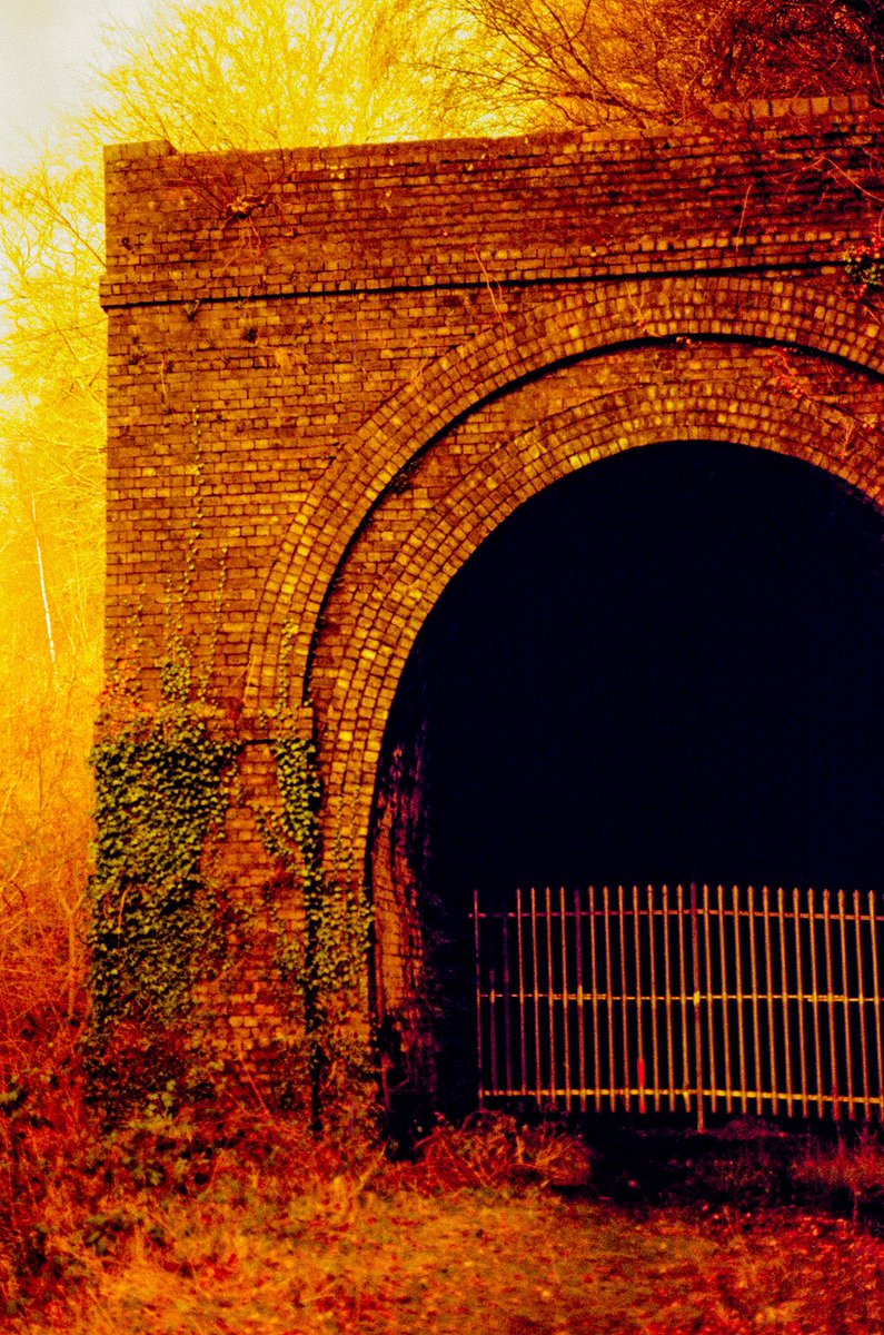 RedeyeRedscale's tweet photo. Closed Tunnel.
#tunnel #traintunnel #anandoned #decay #redscale #redeyeredscale #bifscale21 #believeinfilm #analogueohotograohy #experimentalphotography @sunny16podcast #redscalefilmloversunite
#redscalemagazine https://t.co/9eTtM0GF41