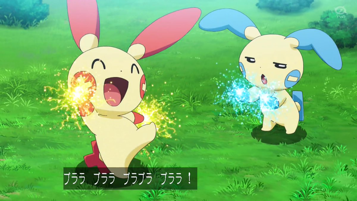 Kou Anipoke アニポケ ニッコニコなプラスルちゃんとジト目マイナンくんかわいい Kou Anipoke アニポケ ニッコニコなプラスルちゃんとジト目マイナンくんかわいい
