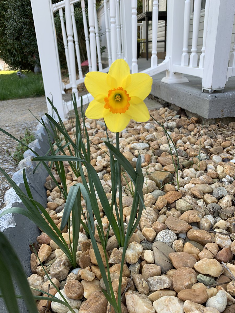 JokeOfBugaj's tweet photo. #springhappiness
Happy last day of 3rd quarter! https://t.co/caJd6OWL1S