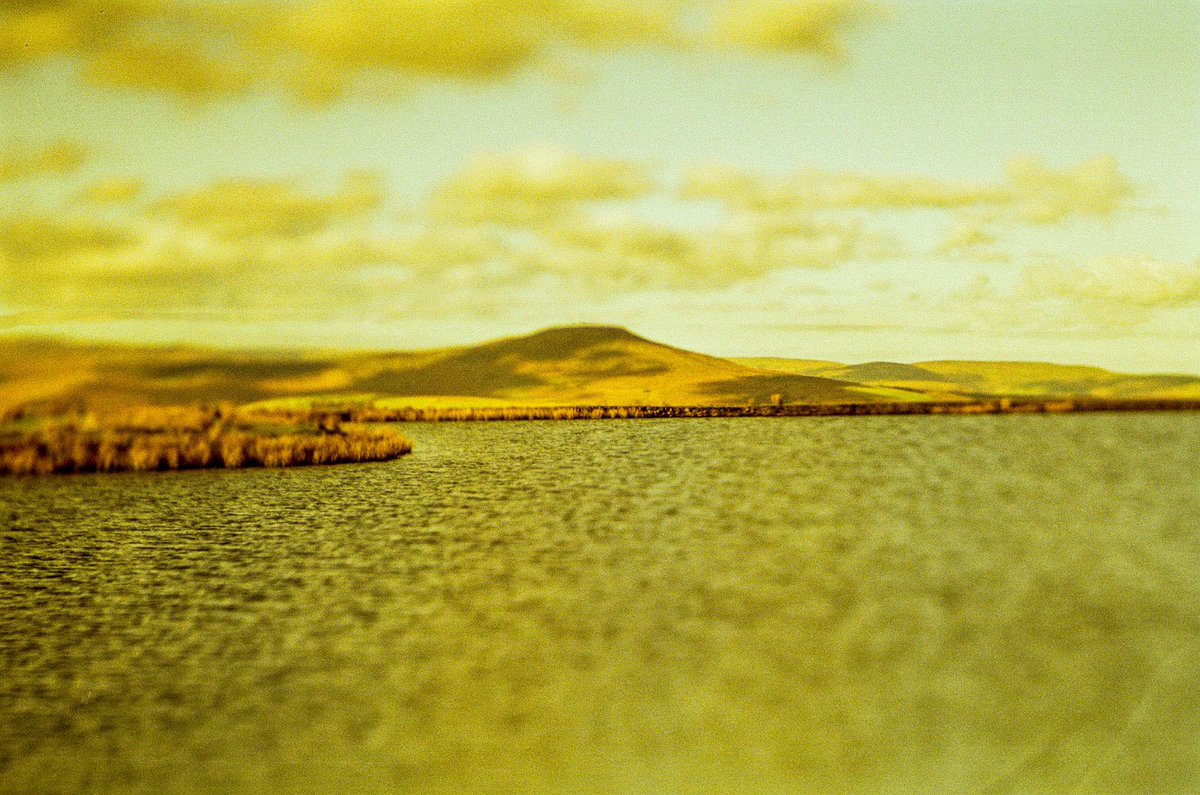 RedeyeRedscale's tweet photo. Keeper’s Pond.
@lensbabyusa #LensBabyEdge89 #edge80
#pond #KeepersPond #sky #redscale #redeyeredscale #bifscale21 #believeinfilm #analogueohotograohy #experimentalphotography @sunny16podcast #redscalefilmloversunite
#redscalemagazine https://t.co/4MqSCaPQj1