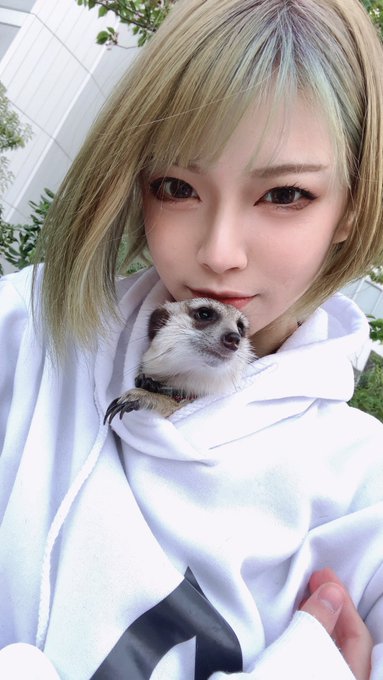 コスプレイヤーぽにょ皇子のTwitter画像26